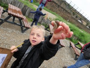 A child holding a snail to up the camera