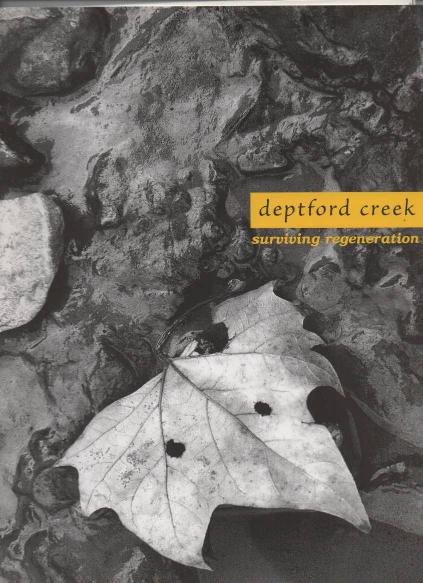 Deptford Creek Surviving Regeneration