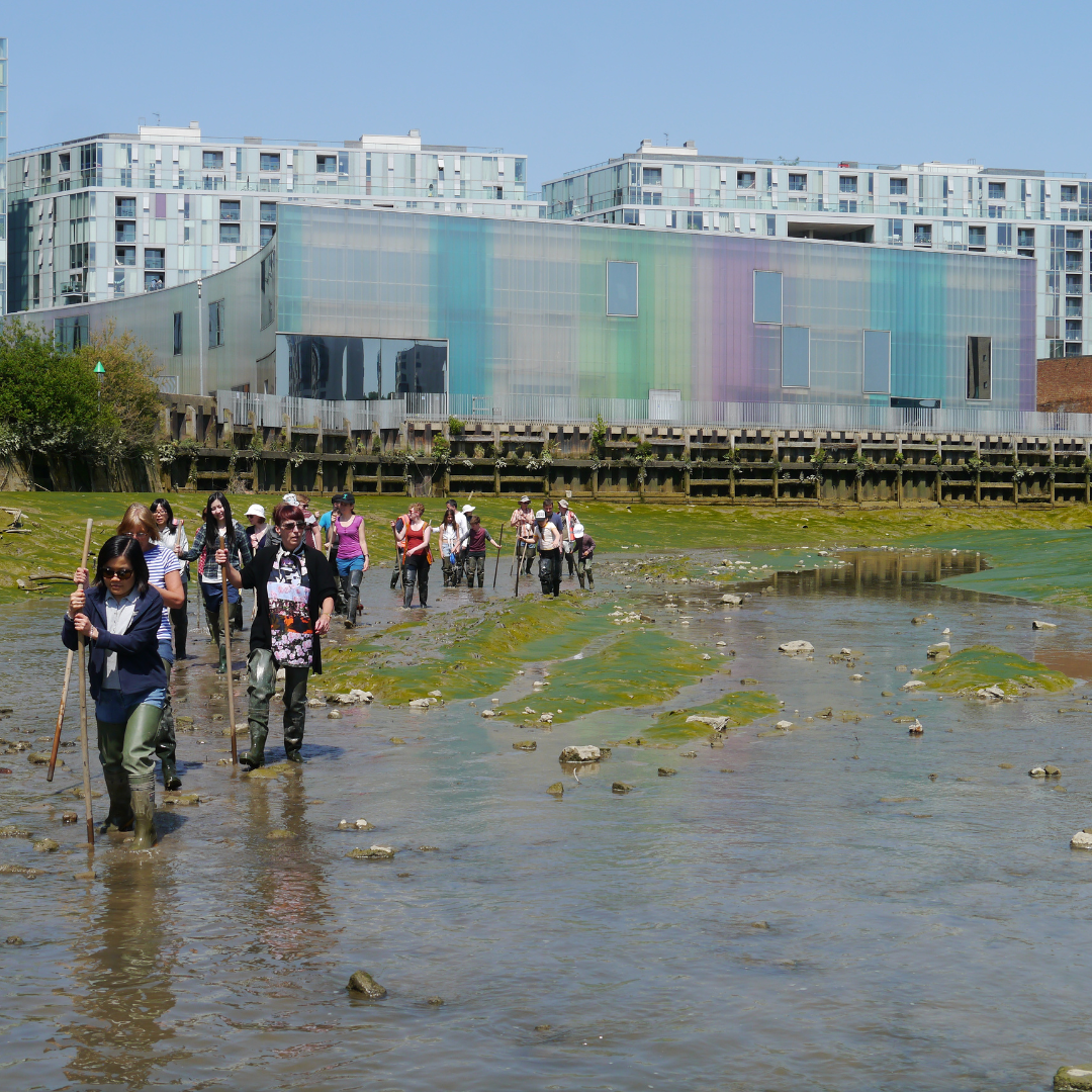 Low Tide Walk in Deptford Creek