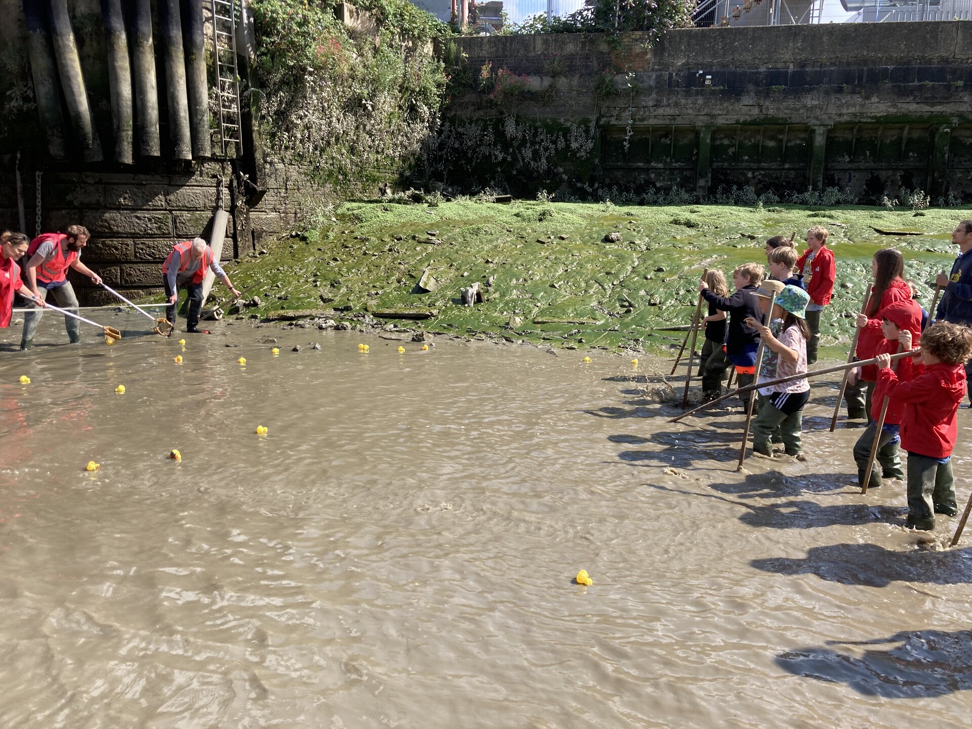 A group of children in the creek