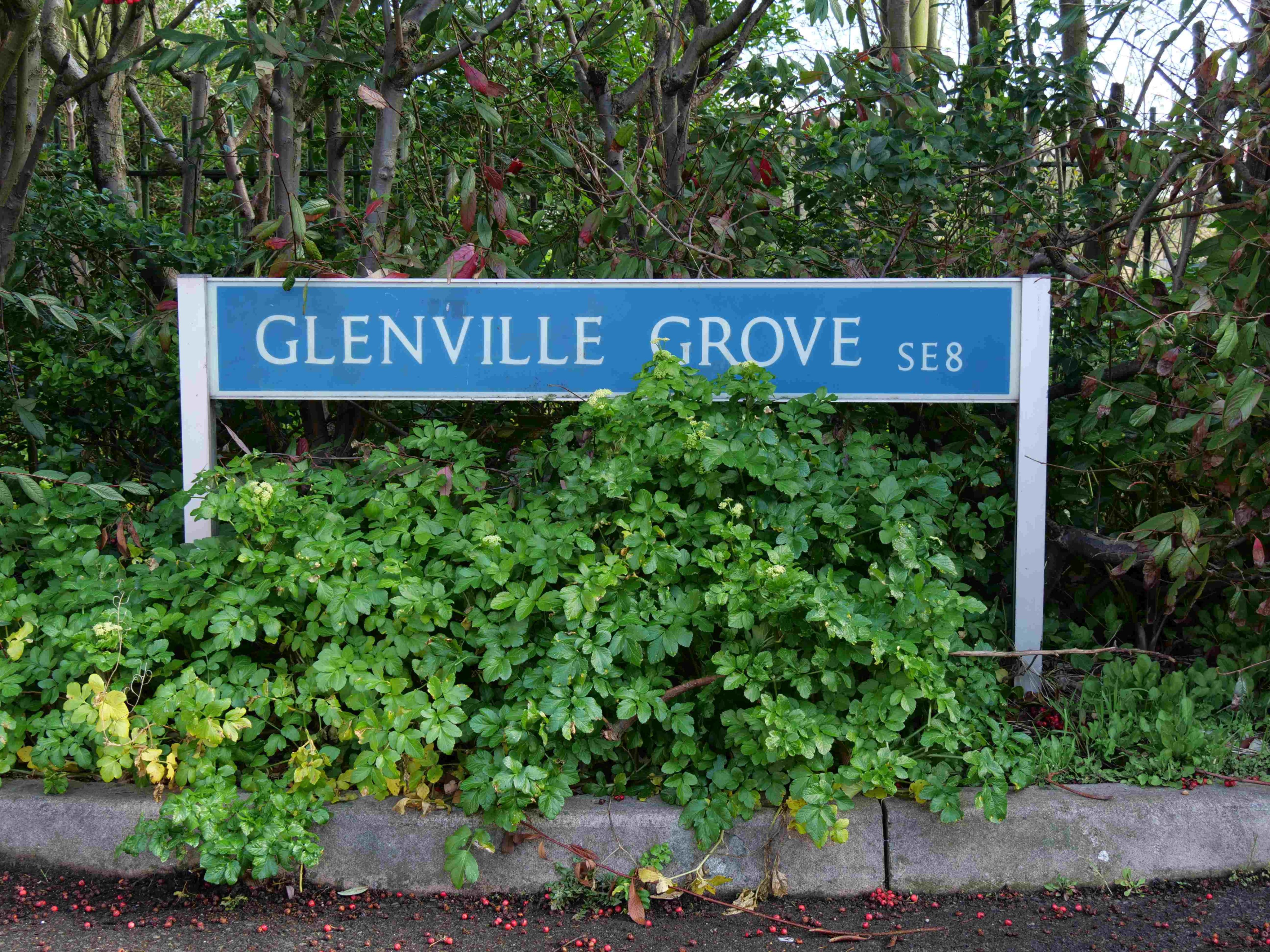 Glenville Grove